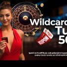 WildCard Turnir 25