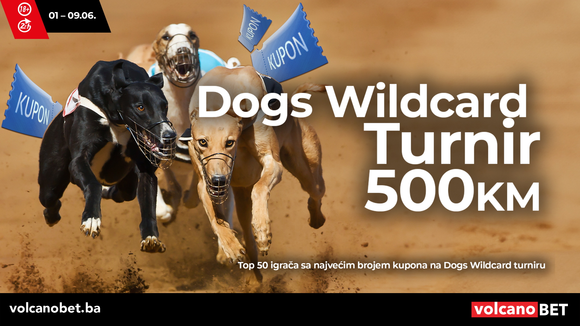 Dogs Wildcard Turnir Jun