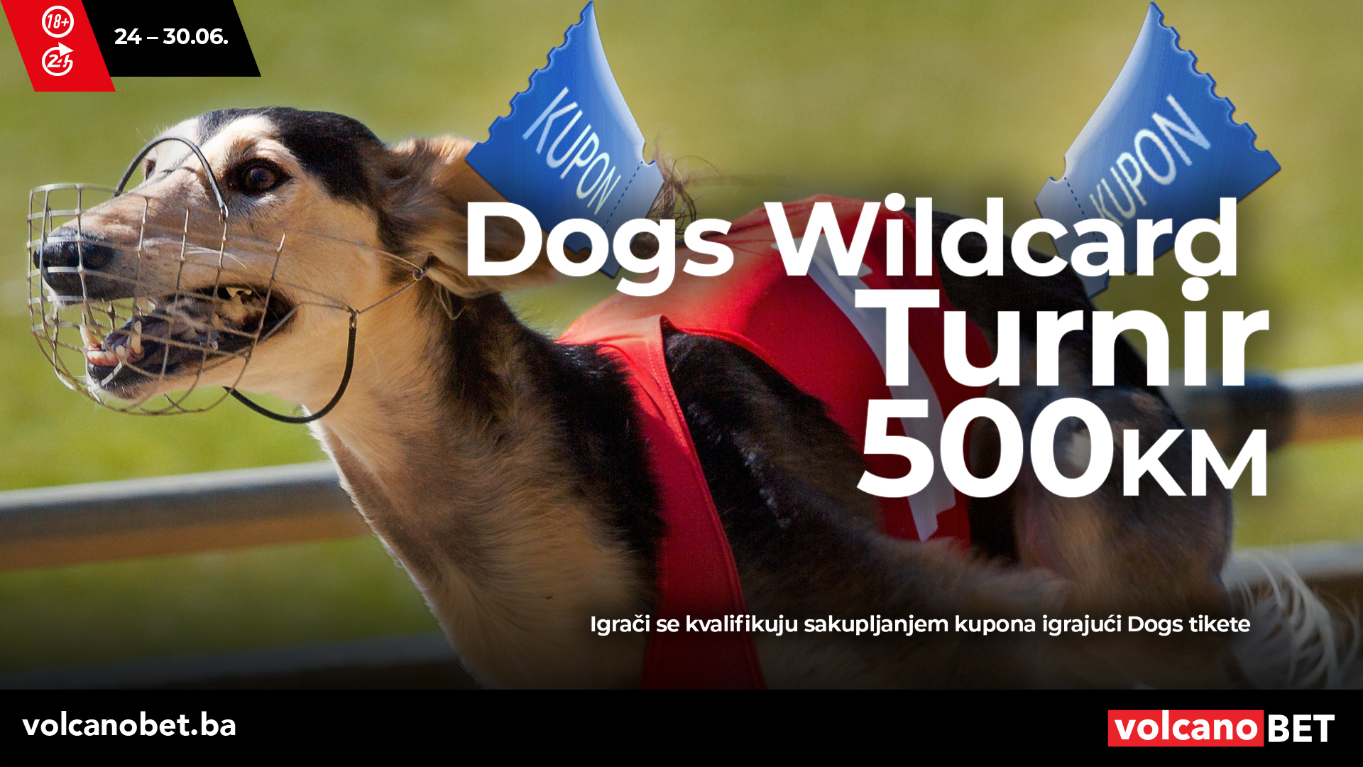 Dogs Wildcard Turnir Jun 2