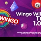 Wingo Wildcard Turnir Jun 2