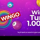 Wingo Turnir Jul 3